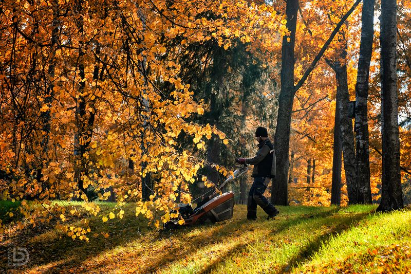 газонокосильщикphoto preview