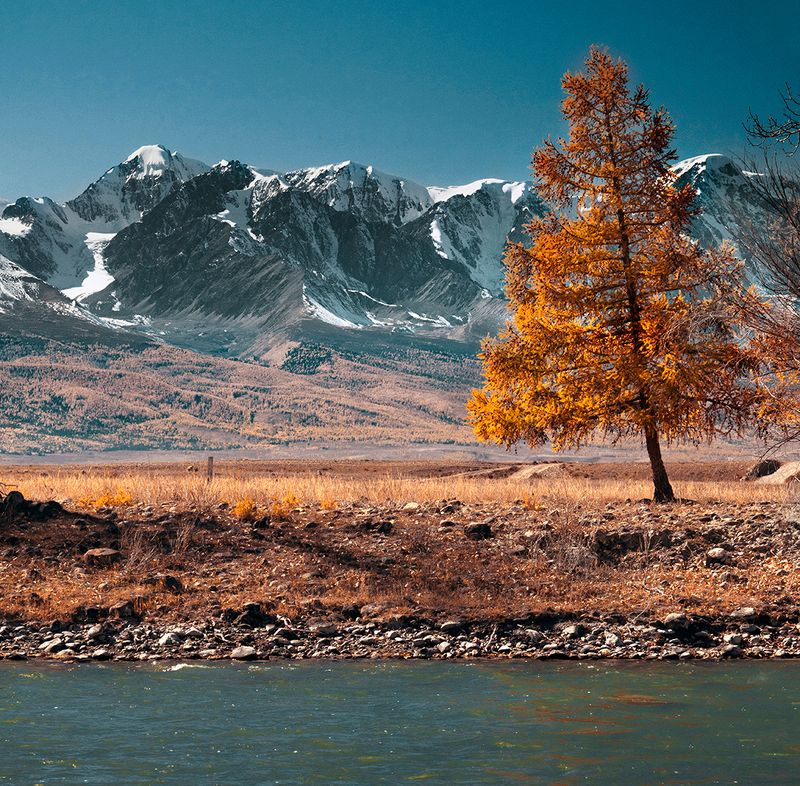 Алтайphoto preview