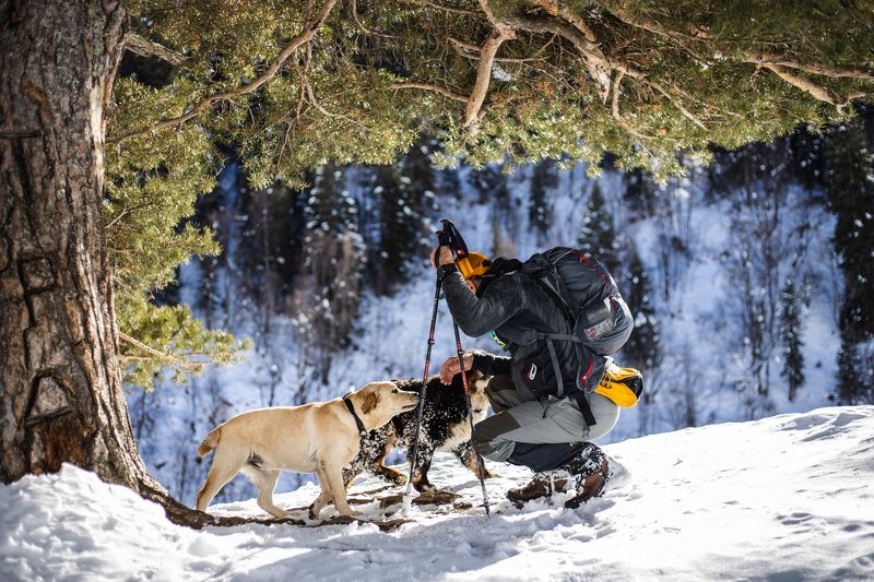 Дружбаphoto preview