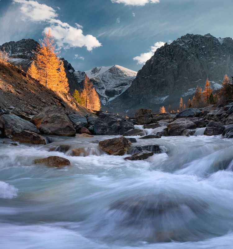 актру, актуру, пейзаж, горный алтай, осень, сентябрь, лиственницы, горная река Краски осенней Актуру фото превью