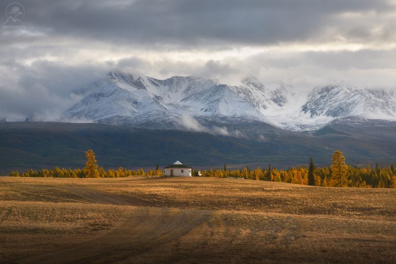 алтай, осень, горы, степь, курай У подножья горphoto preview