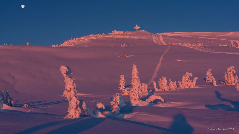 утро, розовое утро, маджента, зима, снег, солнце, гора курган, крест на горе курган, шерегеш, горная шория, сибирь Состояние – маджента! фото превью