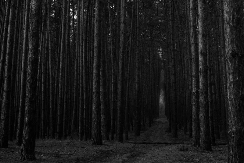 Сумрак...photo preview