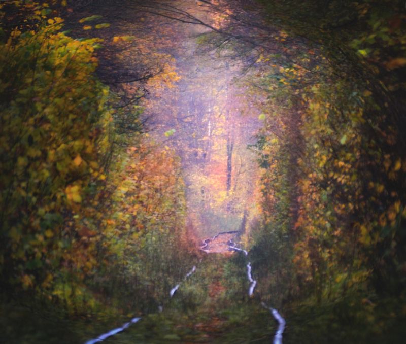 Осенне-акварельный этюдphoto preview