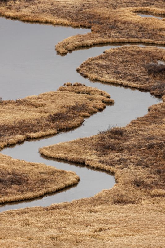 алтай Иероглифphoto preview