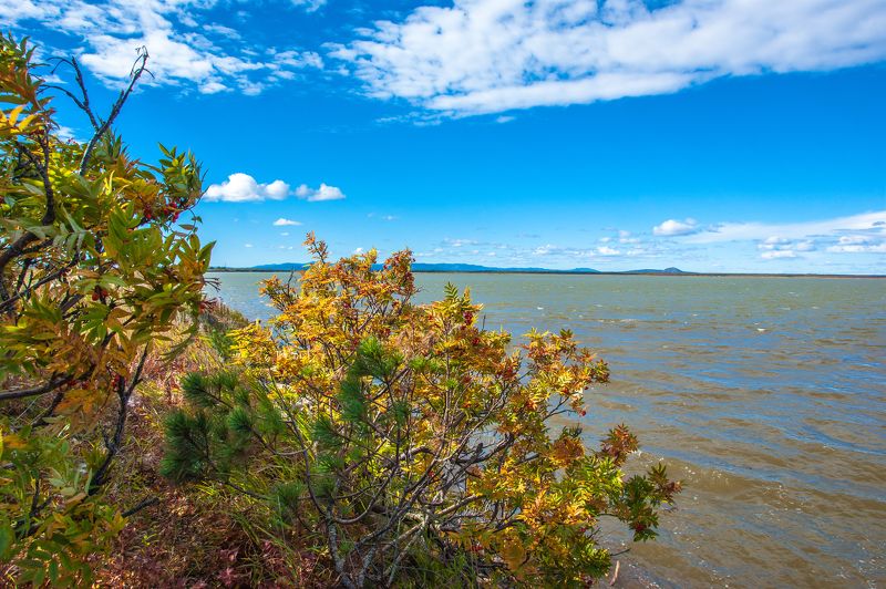 Янский лиманphoto preview