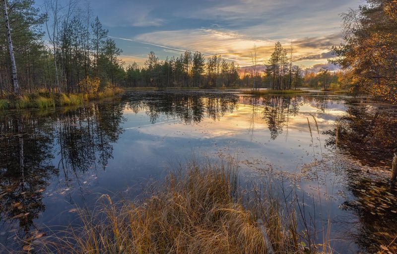сестрорецк болото осень  небо октябрь вода закат отражение Поэзия природыphoto preview
