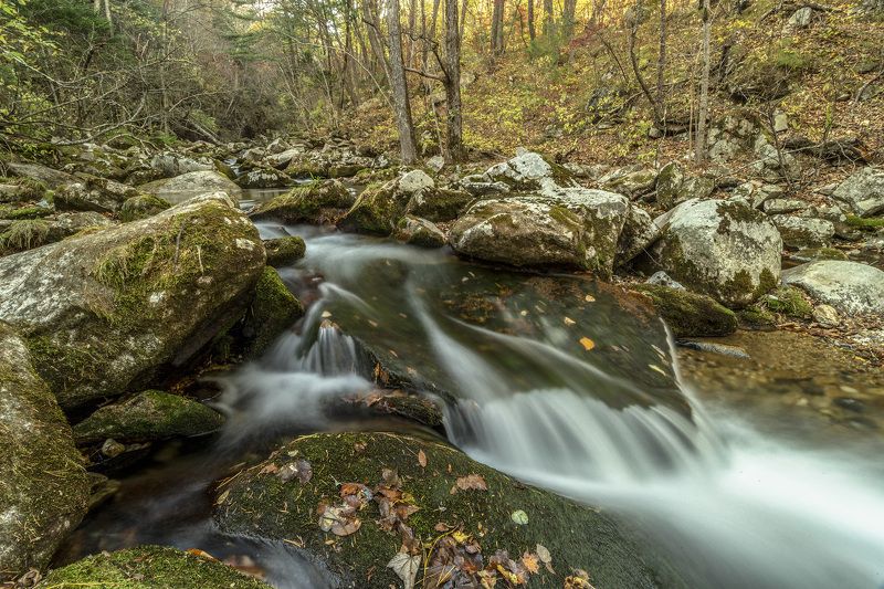 Ручей, осень, тайга photo preview