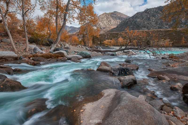Алтай, осень, река, горы photo preview