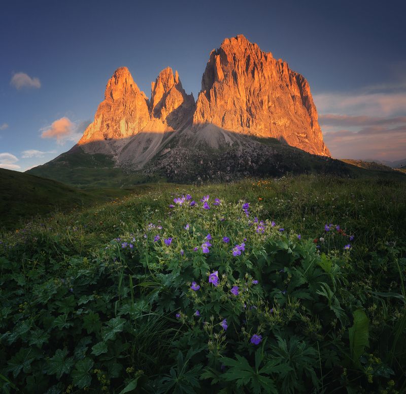 Sassolungo, Langkofel, South Tyrol, Dolomites, Italy, горы, лето Sassolungophoto preview