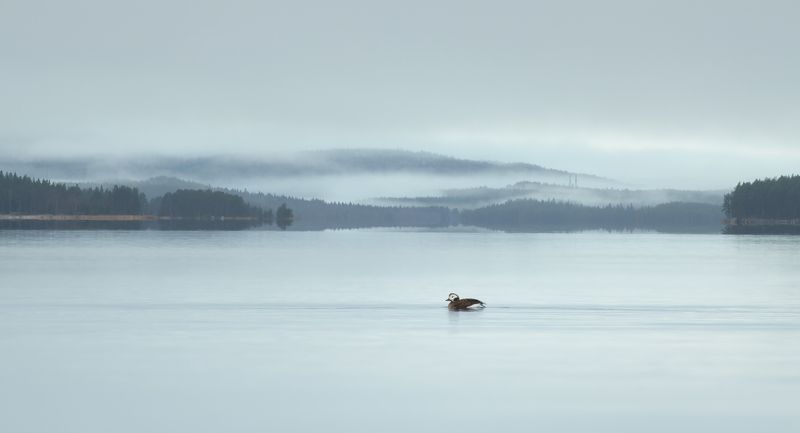 Белое мореphoto preview