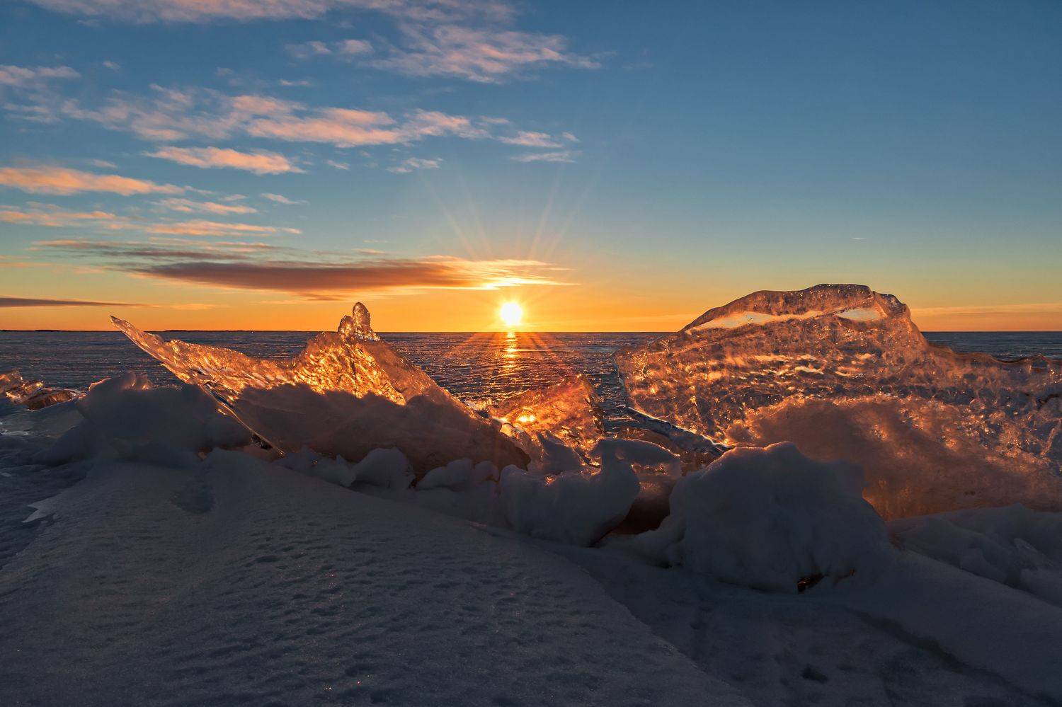 , Виктор Желенговский