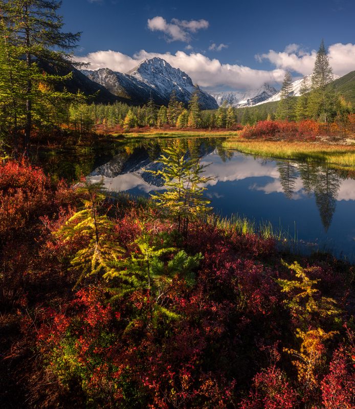 озеро джека лондона Начало осениphoto preview