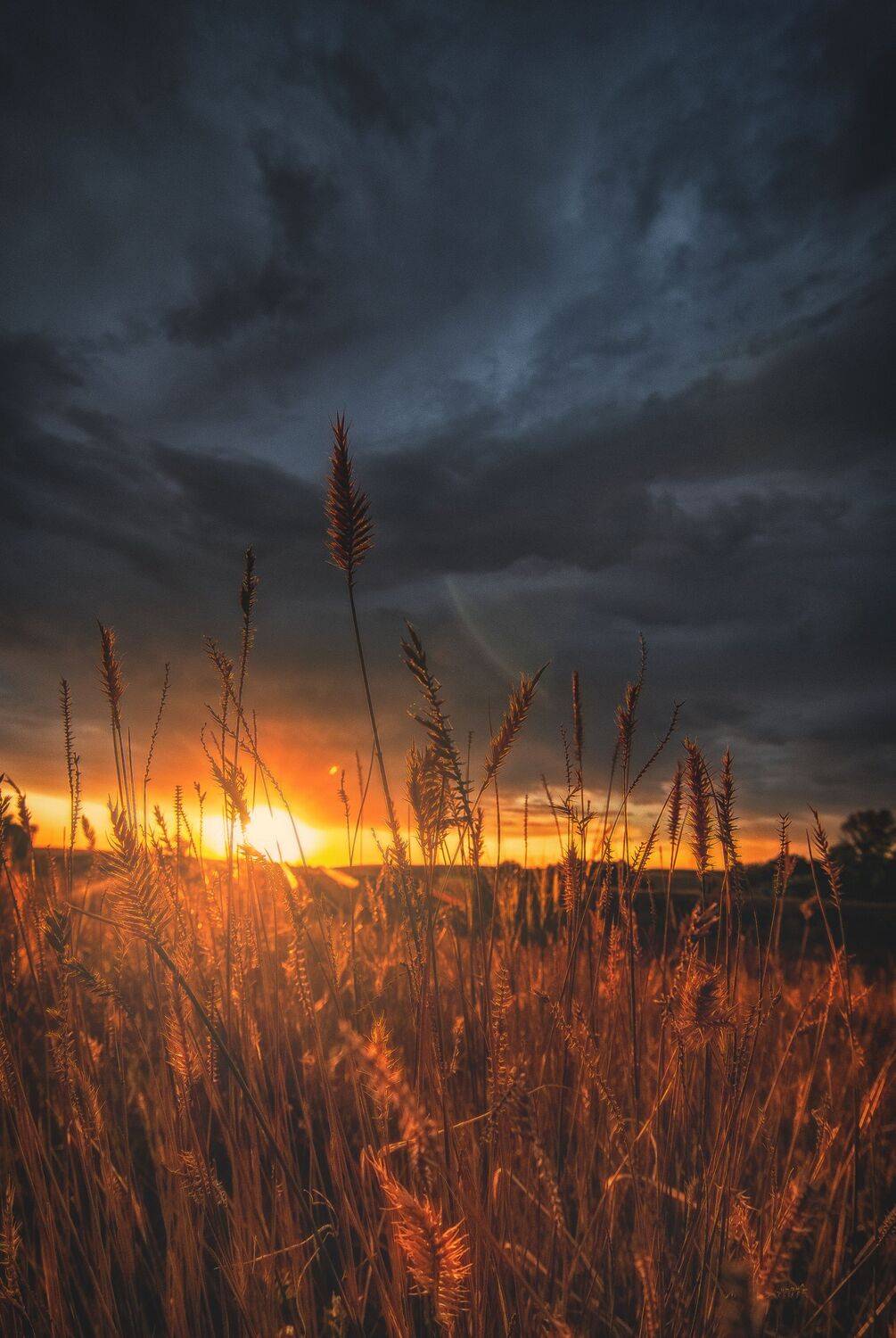 Автор: Антонов Антон , Антонов Антон