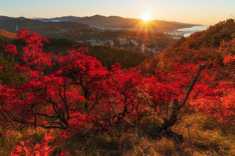 Туапсе на рассветеphoto preview