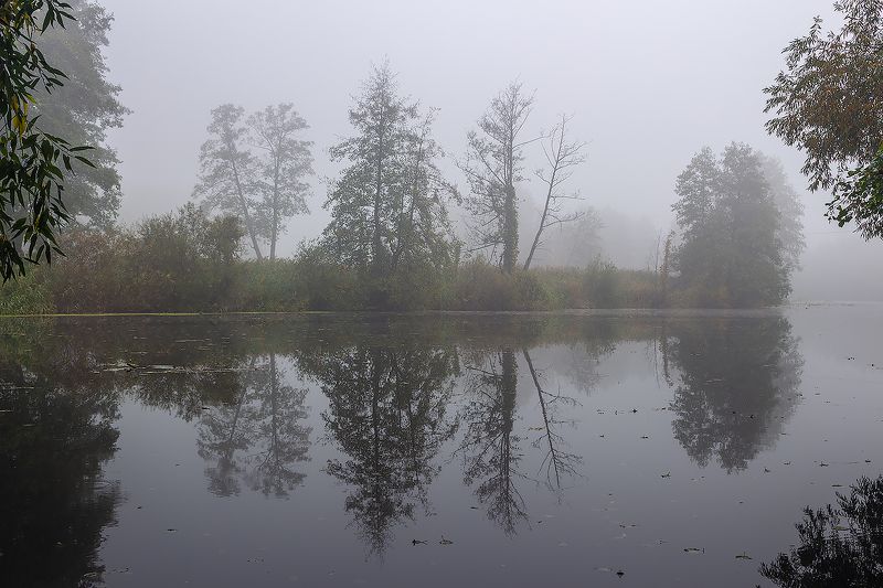 усмань, туман, природа, осень, октябрь, липецкая область photo preview