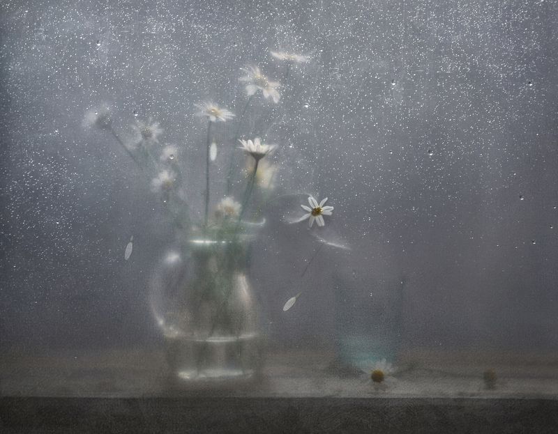 Замерзающая нежностьphoto preview