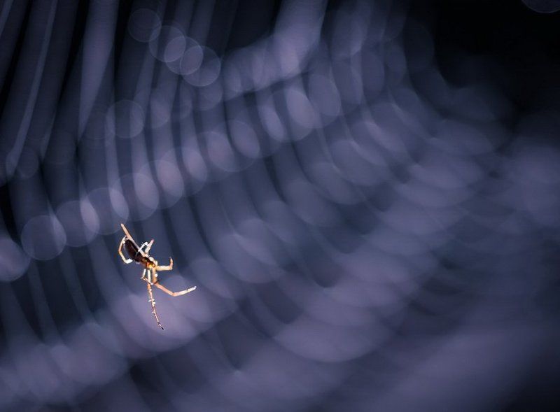 Первый лучикphoto preview