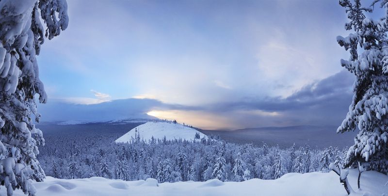 Елки, Закат, Зима, Россия, Северный урал, Снег, Урал, Холод Зимний Уралphoto preview
