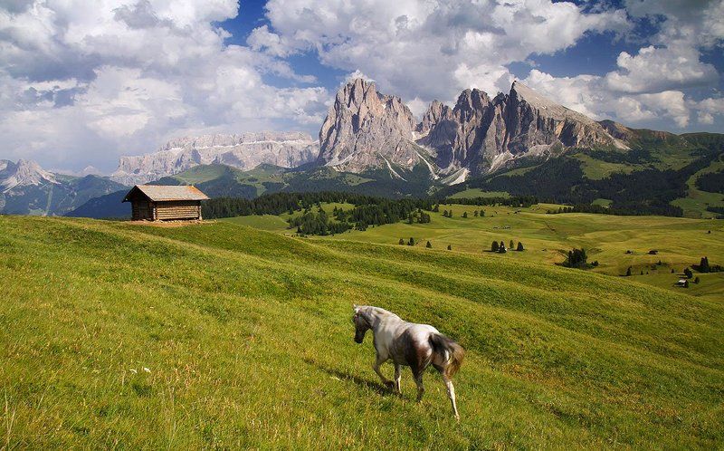 Доломитыphoto preview