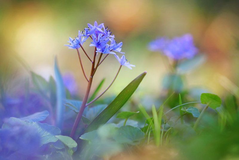 Скоро! фото превью