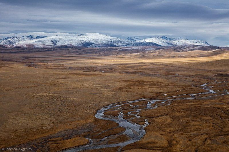 Пастель и Бархатphoto preview