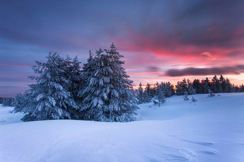 Зимнее Утроphoto preview