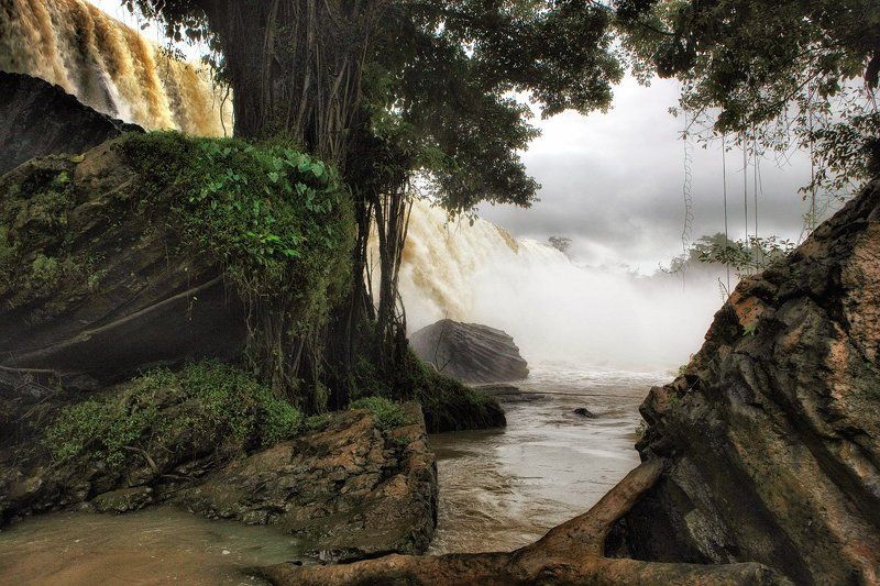 Где-то в джунгляхphoto preview