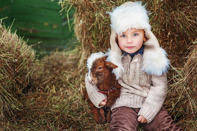 два товарища :)photo preview