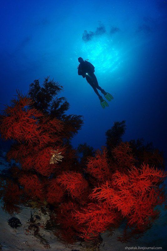 Raja Ampat.photo preview