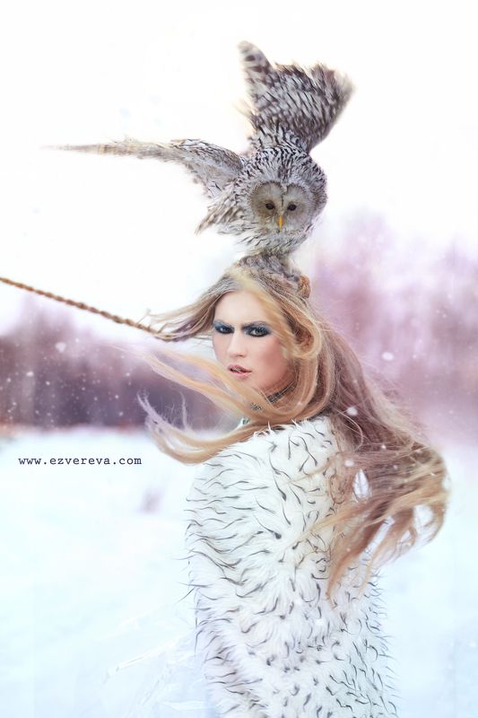 Дух, Зима, Снег, Сова Зимаphoto preview