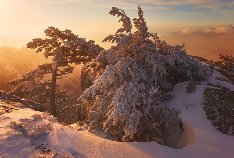 Демерджи, Зима, Крым, Солнце * * *photo preview