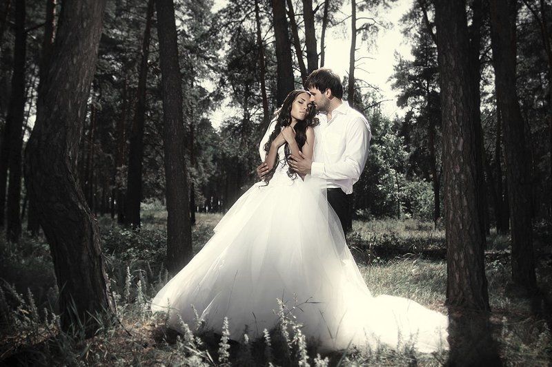 Лес, Лес свадьба Лес_01photo preview