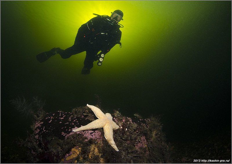 Я знаком со звездойphoto preview