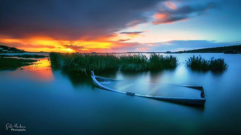 submergedphoto preview