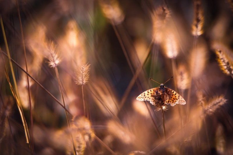 Затаиласьphoto preview