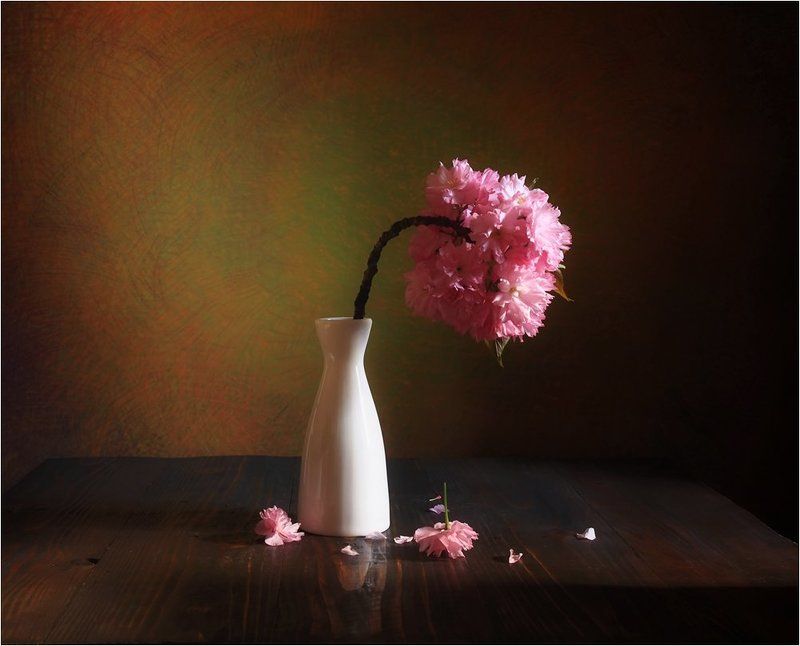 Весна, Натюрморт, Сакура Одиночество фото превью