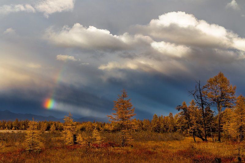 якутия, кенилибит, хребет черского, козгинский хребет, момский улус, лиственница, радуга Цветные лучикиphoto preview