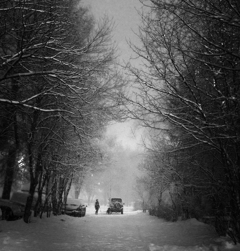 Снегопадphoto preview