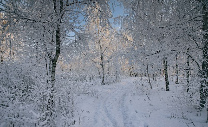 Тропинками зимы...photo preview