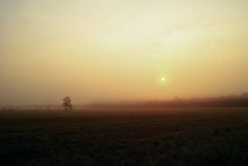 Встречи на рассветеphoto preview