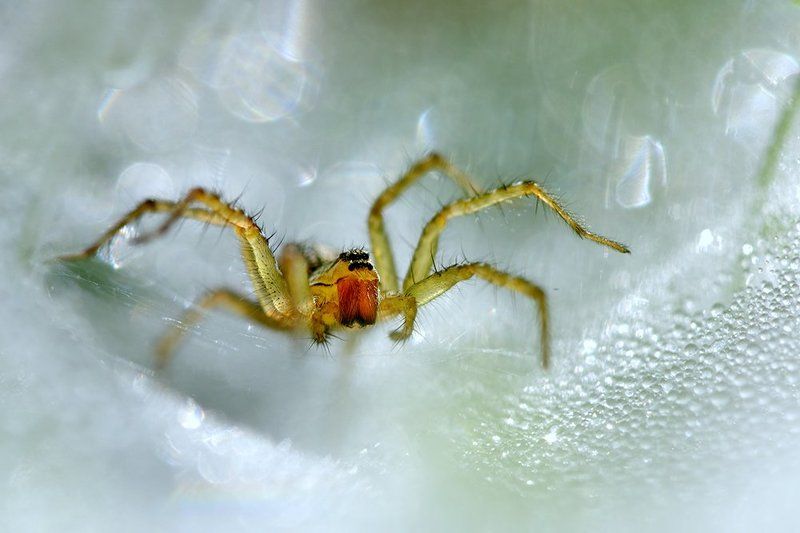 cold territoryphoto preview