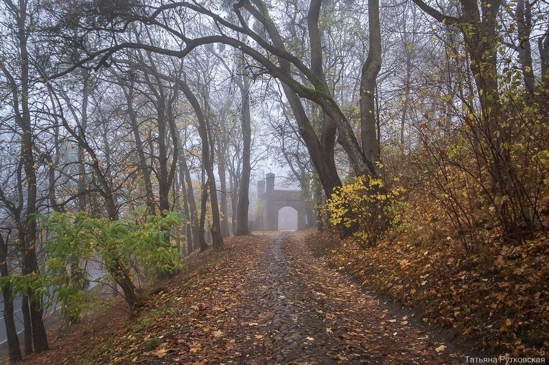 Туманный Гердауэнphoto preview