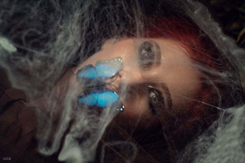 мотылек, кокон, портрет, женщина, девушка, сказка, фентези Кокон фото превью