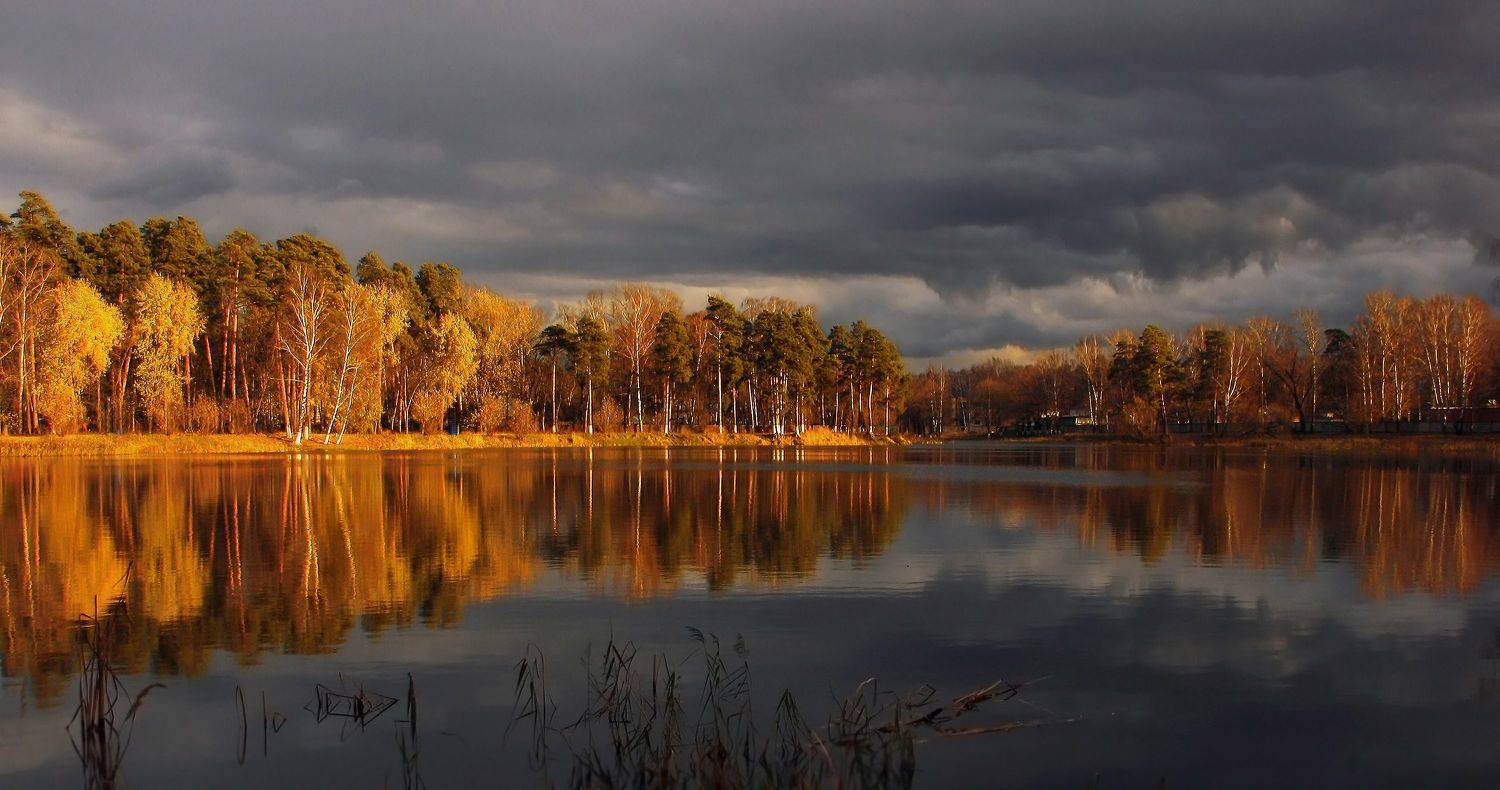 Закатный свет. Автор: Ольга Заболотская , Ольга Заболотская