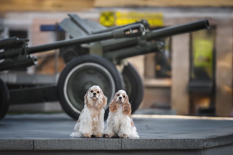 две сестры)photo preview