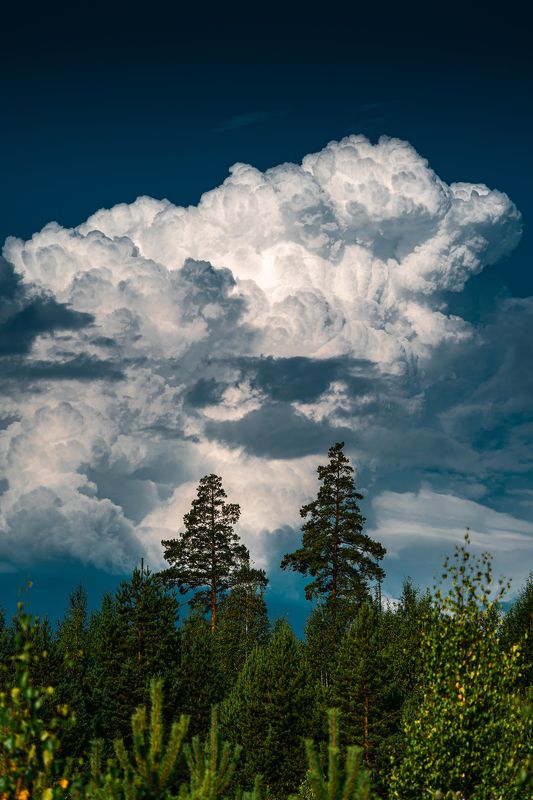 Пейзаж, утро, облака, Урал, лето, лес, красочно, Облачное утроphoto preview