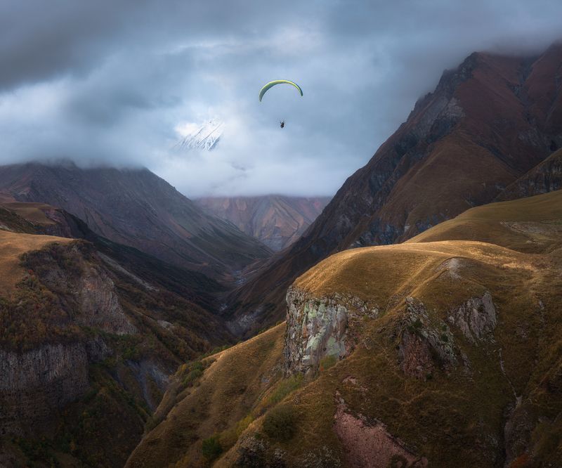 Freedomphoto preview