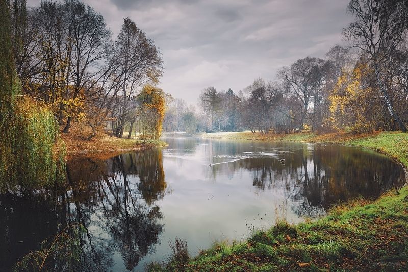 Парковый прудphoto preview