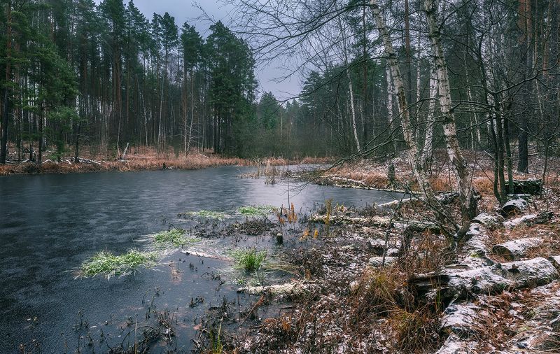 Первый снегphoto preview